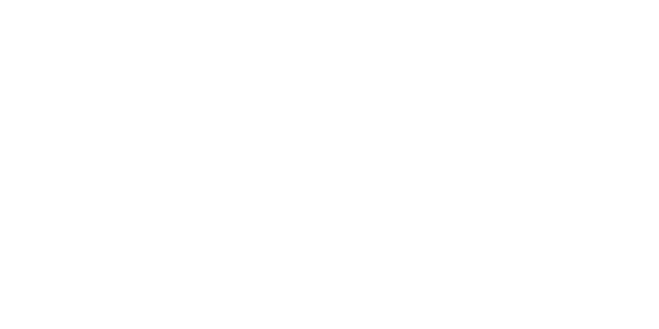 Panduit Logo